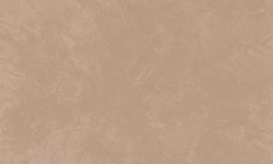 Decorazza STUCCO VENEZIANO / Цвет #SV  10-68